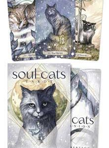 Soul Cats Dk & Bk By Leeza Robertson