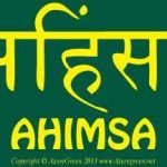 Ahimsa Lotus Bumper Sticker