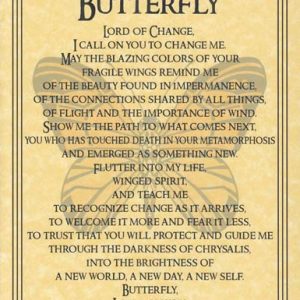Butterfly Prayer Poster
