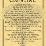 Elephant Prayer Poster