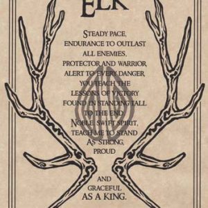 Elk Prayer Poster