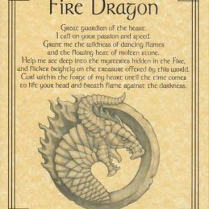 Fire Dragon Poster