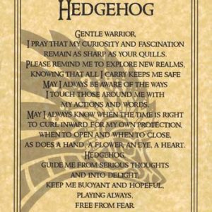 Hedgehog Prayer Poster