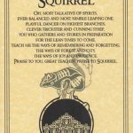 Squirrel Prayer Poster