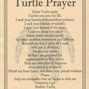 Turtle Prayer Poster