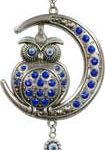 Owl On Moon Evil Eye Wall Hanging