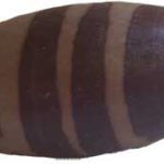 4" Shiva Lingam Stone From India