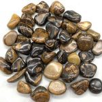 1 Lb Stromatolite (onyx Brown) Tumbled Stones