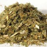 Blessed Thistle 2oz  (cnicus Benedictus)