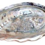 4" Abalone Shell Incense Burner (limited Quanity)