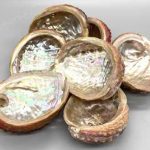 3-4" Abalone Shell Incense Burner