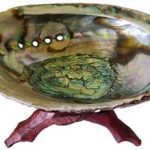 5"- 6" Abalone Shell Incense Burner With Stand