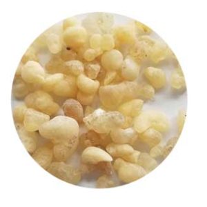 Frankincense Sifted Incense 1.5 Oz