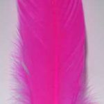 (set Of 10) Pink Feather 12"