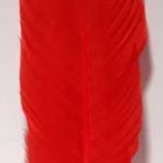 (set Of 10) Red Feather 12"