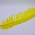 (set Of 10) Yellow Feather 12"