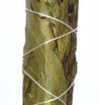 4" Eucalyptus Citridora Smudge Stick