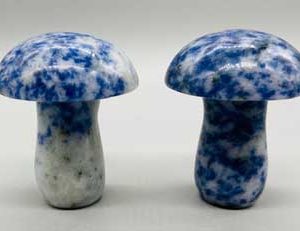 (set Of 2) 1 3/4" Mushroom Sodalite
