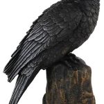 Backward Looking Raven 6"